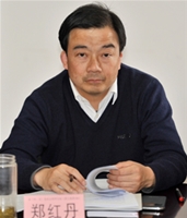 深入推进依法行政 努力建设法治政府